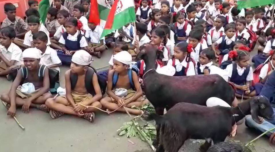 Student Unique Protest Against Palghar Zp Latest Updates दप्तर घ्या आणि कोंबड्या-बकऱ्या द्या, पालघरमध्ये विद्यार्थ्यांचा मोर्चा