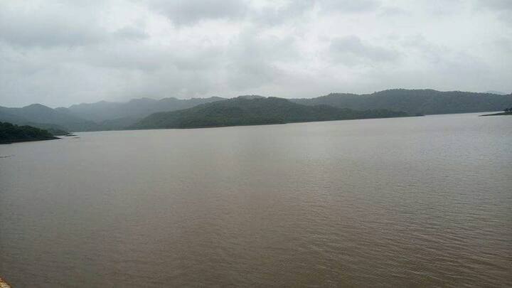 महाराष्ट्र-गुजरात सीमेवरील अहवाडांग जंगल परिसरात मुसळधार पाऊस सुरु आहे. गुजरात राज्यातील डेडियापाडा, राजपिपला परिसरातील अनेक नद्यांना पूर आला आहे. 