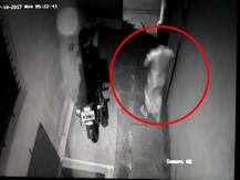 महिलांचा गाऊन घालून अश्लिल चाळे करणाऱ्या विकृताची नाशकात दहशत