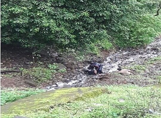 Sindhudurg Tourist Falls In Amboli Ghaut Saved Latest Update माकडांना खाऊ देताना पर्यटक आंबोली घाटातील दरीत कोसळला