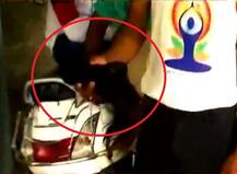 व्हायरल सत्य : महिलांचे केस कापणाऱ्या मांजरीमागील खरी कहाणी