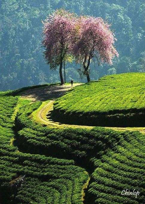 घुमक्कडी (52) : वाटमोड अर्थात डेडएंड!