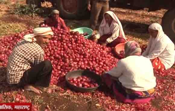 Rajendra Jadhavs Blog On Onion Rates In 2017 ब्लॉग : शेतकऱ्यांनो घाबरु नका, कांद्याची तेजी कायम राहिल!