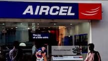 168 जीबी डेटा आणि अनलिमिटेड कॉलिंग, एअरसेलचा नवा प्लॅन