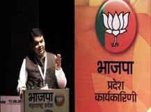 मीच मुख्यमंत्री, दानवेच प्रदेशाध्यक्ष, फडणवीसांचं स्पष्टीकरण