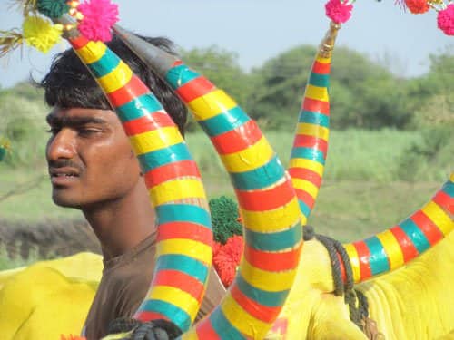 उतराई ऋणाची...