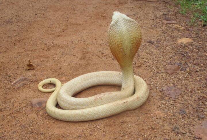 पाहा आणखी फोटो...