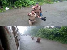 उभ्या पावसात पोलिसांचं काम पाहा, एक कडक सॅल्युट ठोकाल!