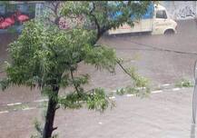 मुंबई-ठाण्यातील मुसळधार पावसामध्ये सहा जणांचा मृत्यू