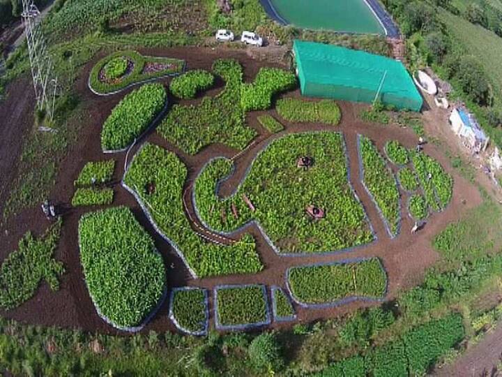 200 फूट बाय 400 फूट उंचीची प्रतिमा पाहण्यासाठी आसपासच्या पंचक्रोशीतून गर्दी होत आहे.