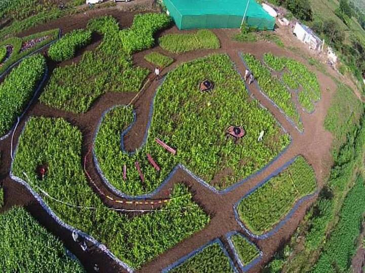 पाहा आणखी फोटो