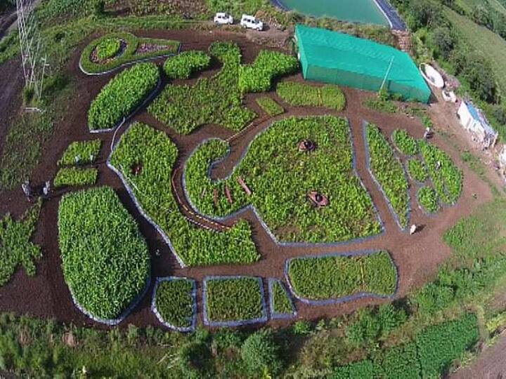 पाहा आणखी फोटो