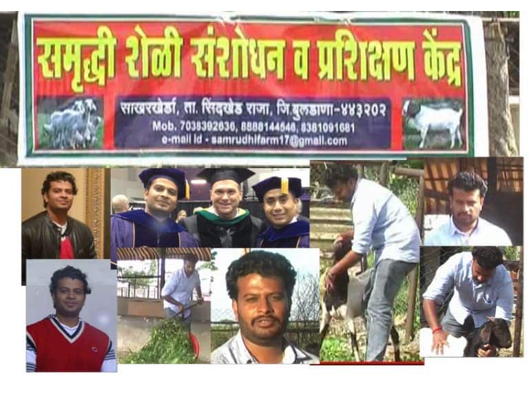 Buldhana America Return Abhishek Bharad Goat Farming Success Story अमेरिकेतील नोकरी सोडून शेळीपालन करणारा बुलडाण्याचा पठ्ठ्या