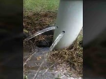 माढ्यात पावसामुळे शेतकरी सुखावले, बेंबळेत बोअरवेलमधून पाण्याचे फवारे