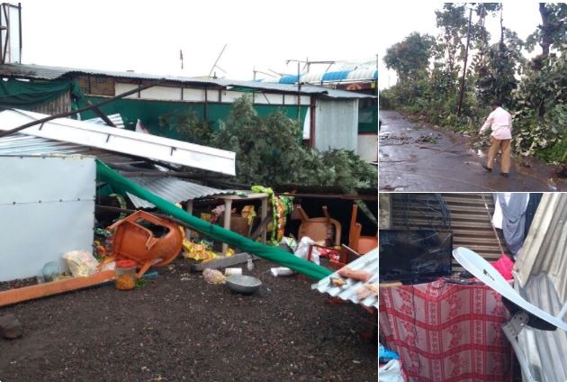 Heavy Rain In Satara Houses Collapsed Latest Updates सातारा जिल्ह्यात वादळी वाऱ्यासह पाऊस, घरांचं मोठं नुकसान