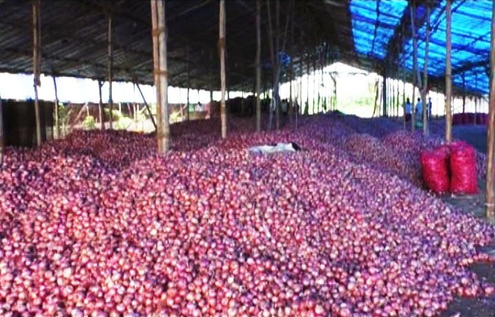 Govt Reduced Export Value Of Onion Farmers Unhappy With It कांद्याचं निर्यातमूल्य घटवलं, केंद्र सरकारविरोधात शेतकरी आक्रमक