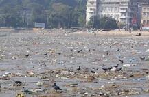 मुंबईत प्लॅस्टिकचा भस्मासूर, बंदीसाठी पालिकेची मोहिम