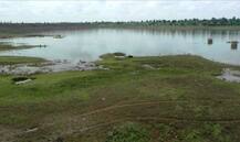 विदर्भ अजूनही दुष्काळाच्या छायेत, धरणांमध्ये केवळ 35 टक्के पाणी