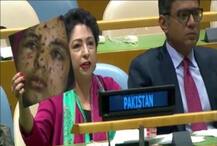 संयुक्त राष्ट्रात बनावट फोटो दाखवून पाकिस्तानच्या राजदूत अडचणीत