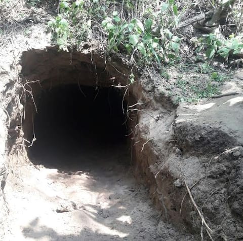 भारत-पाकिस्तान सीमेवर 14 फूट बोगदा भारत-पाकिस्तान सीमेवर 14 फूट बोगदा