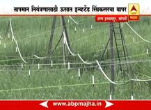 एक एकरातून 200 टन ऊस, इन्व्हर्टेड स्प्रिंकलरची कमाल