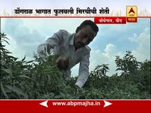 एसटी चालक प्रदीप थिटेंनी ओसाड डोंगराळ भागाचं केलं नंदनवन!