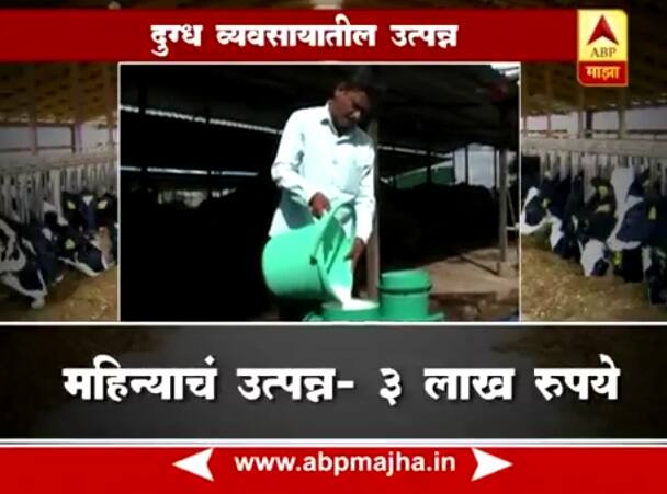 36 Lakhs Per Year Income From Dairy Business गोधनातून वर्षाला 36 लाखांची कमाई, माझाचा स्पेशल रिपोर्ट