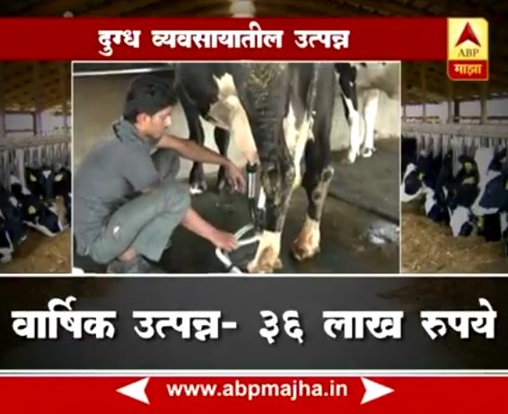 गोधनातून वर्षाला 36 लाखांची कमाई, माझाचा स्पेशल रिपोर्ट