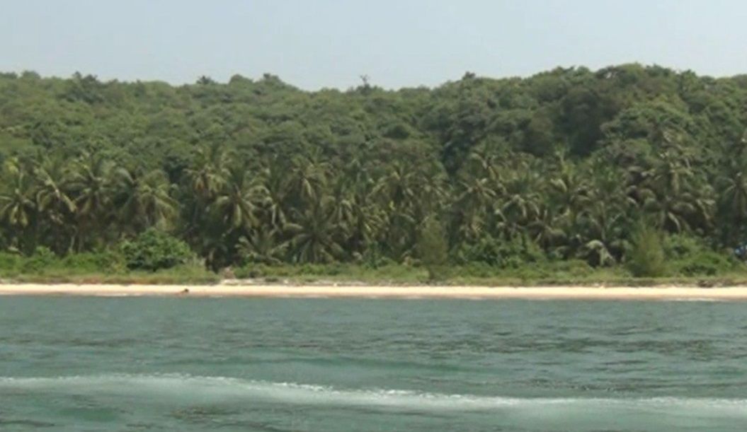 हिरवीगार झाडी, निळाशार समुद्र... कोकणची बातच न्यारी! 