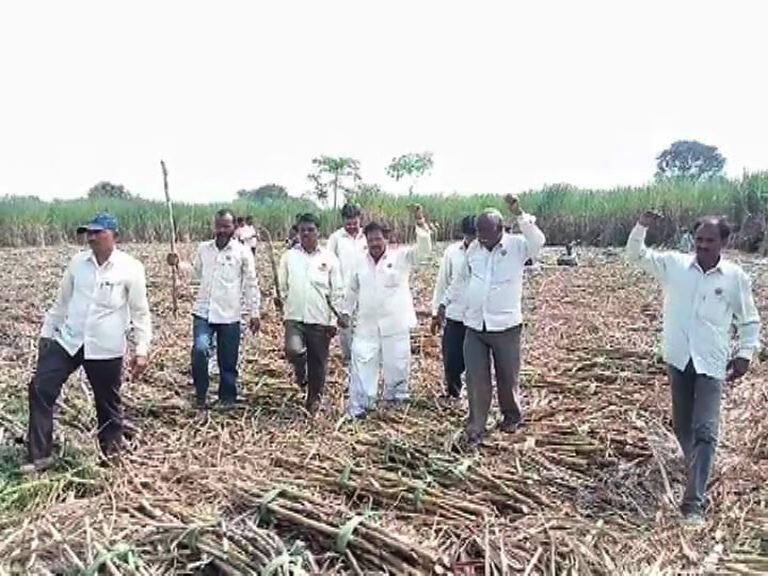 raghunath dada patil farmers organisation protest on sugar cane rate ऊस दरासाठी रघुनाथ पाटलांची शेतकरी संघटना मैदानात