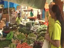 प्लॅस्टिकच्या वापरावर पूर्ण बंदी असलेलं मुंबईतील ठाकूर व्हिलेज