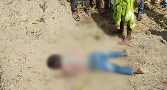 Seven year old boy was killed in Yavatmal latest update यवतमाळमध्ये 7 वर्षीय मुलाची दगडाने ठेचून हत्या