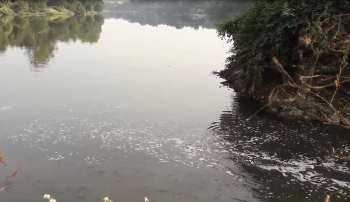 Update on PIL related to river pollution in mumbai highcourt  नद्या कशा वाचवणार? हायकोर्टाचा राज्य सरकारला सवाल