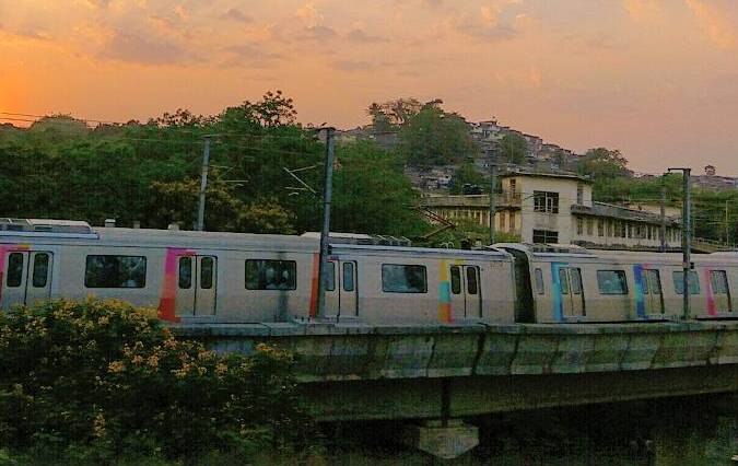 Bombay Highcourt slams Mumbai Metro Rail Corp for tree cutting latest update प्रत्येक झाड महत्त्वाचं, पुनर्रोपण केलेल्या झाडांची पूर्ण काळजी घ्या : हायकोर्ट