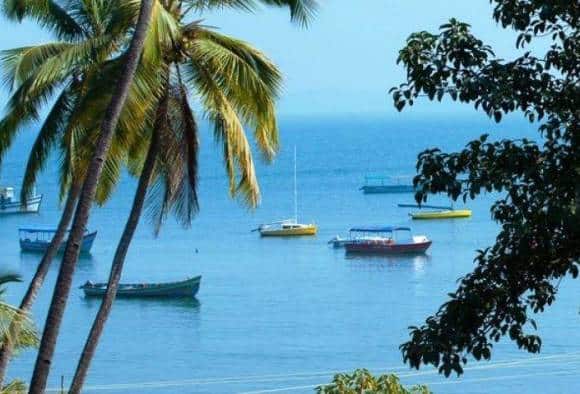 no selfie zone on 24 insecure places in Goa गोव्यात 24 असुरक्षित ठिकाणांवर ‘नोन-सेल्फी’ झोनचे साइनबोर्ड