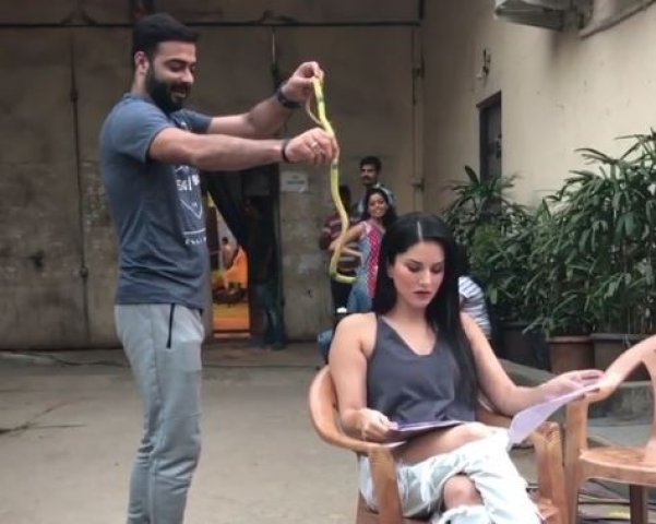 सहकाऱ्यांच्या प्रतापानं सनी लिओनीची घाबरगुंडी