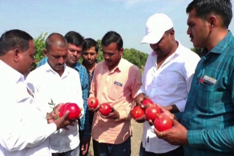 यश याला म्हणतात, ऊसतोड कामगार ते दोन कोटींचा बागायतदार!