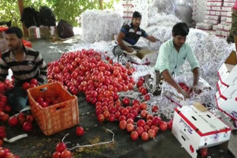 यश याला म्हणतात, ऊसतोड कामगार ते दोन कोटींचा बागायतदार!