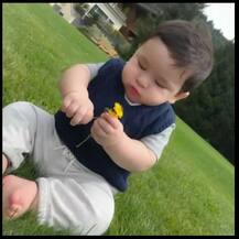 तैमूरच्या पहिल्या बर्थ डेची जोरदार तयारी! 