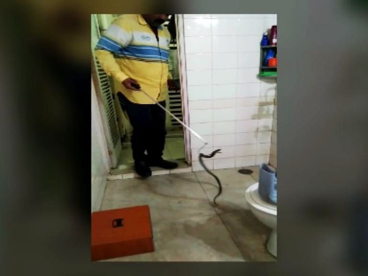 cobra found in 3rd floor in kharghar new mumbai latest marathi news updates खारघरमध्ये तिसऱ्या मजल्यावरील घरात नाग, अनर्थ टळला