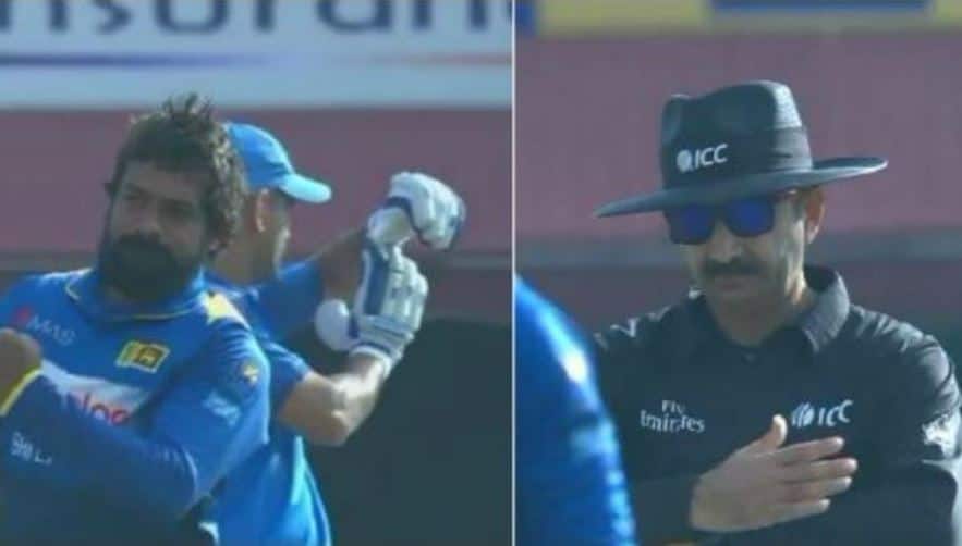 once again dhoni overcame to umpire on the field धोनीची पुन्हा एकदा अम्पायरच्या निर्णयावर मात
