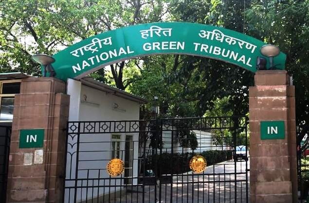 NGT issues arrest warrants against 12 collectors of Maharashtra latest updates राज्यातील 12 जिल्हाधिकाऱ्यांना अटक करा : हरित लवाद
