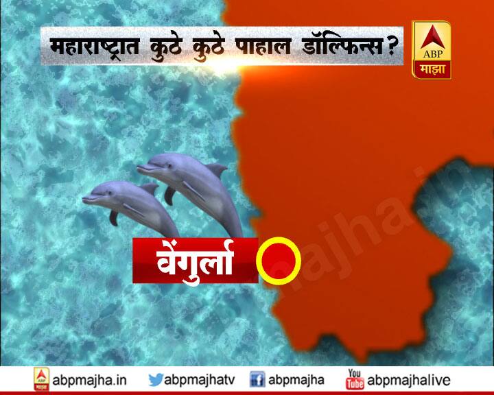 सध्या मुंबईतील समुद्रात डॉल्फिन दिसत असल्याचा एक व्हिडीओ व्हायरल होत आहे. त्यामुळे आता मुंबईच्या समुद्रातही डॉल्फिन दिसू लागले आहेत. मुंबईशिवाय कोकण किनारपट्टीनजीक अनेक ठिकाणी डॉल्फिन पाहायला मिळतात. वेंगुर्लाजवळ डॉल्फिन पाहता येईल. 