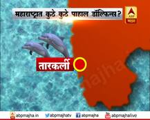 महाराष्ट्रात कुठे-कुठे पाहाल डॉल्फिन्स? 