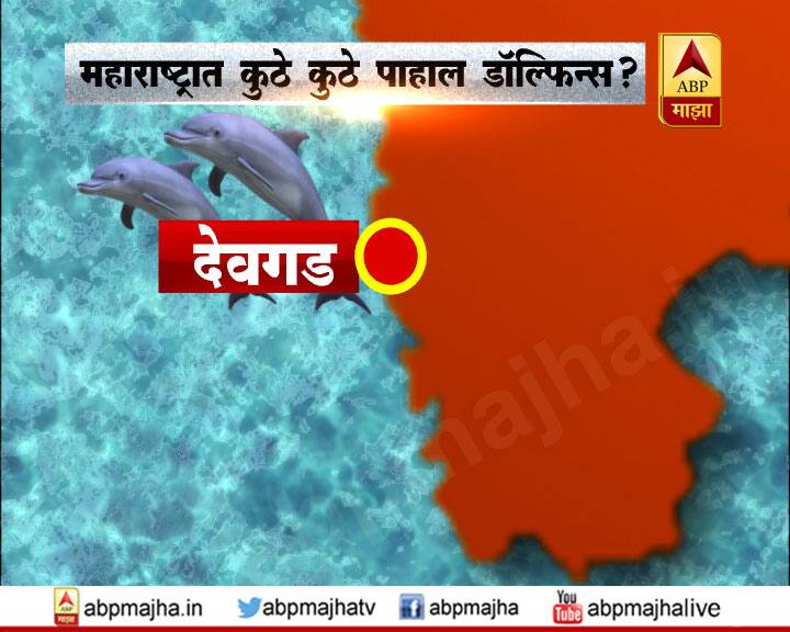  देवगड जवळही अनेक डॉल्फिनचं दर्शन पर्यटकांना होतं. 