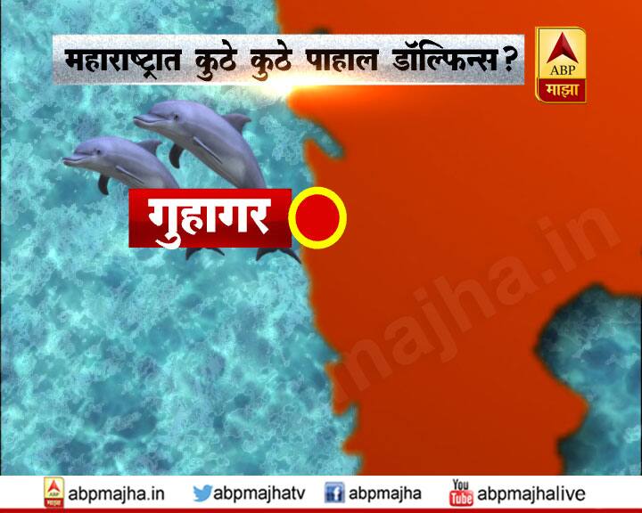 गुहागरजवळही डॉल्फिन पाहता येतील. 
