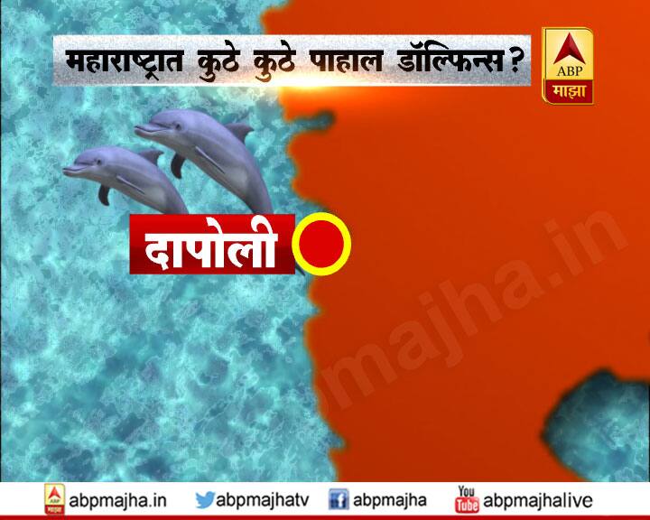 दापोलीच्या समुद्र किनारी डॉल्फिन पाहता येतील. 