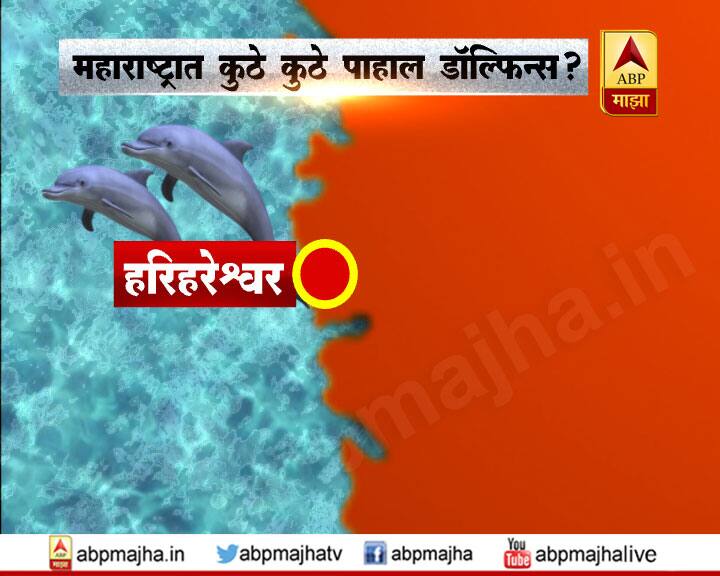हरिहरेश्वरच्या किनाराही मोठ्या प्रमाणात डॉल्फिन पाहायला मिळतात. 