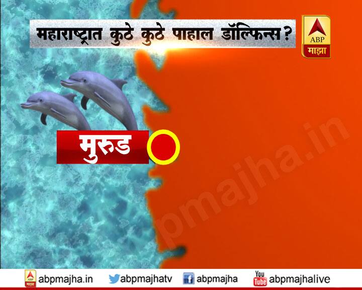 मुरुडच्या समुद्र किनाऱ्यावरही डॉल्फिन दिसून येतील. 