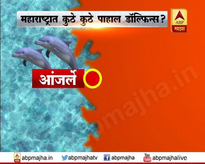 आंजर्लेमध्येही डॉल्फिन पाहायला मिळतात.